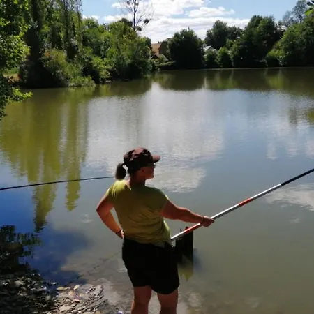 Camping Avec Terrasse - 4 Pers. - Api-1-52-2108 Naucelle